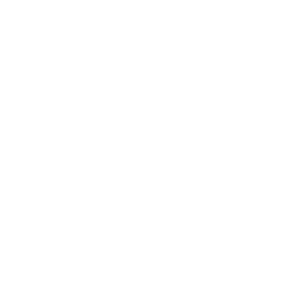 SIO Emblem